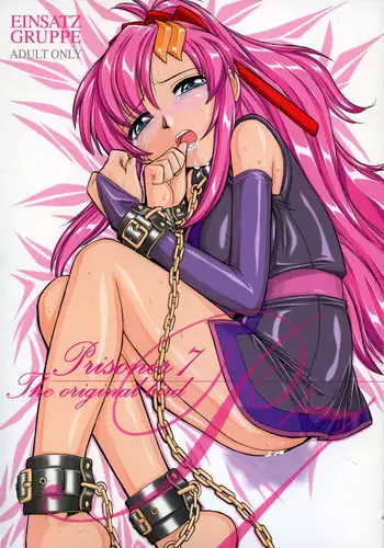 (C69) [EINSATZ GRUPPE (Charlie Nishinaka)] PRISONER 7 The Original Bird (Mobile Suit Gundam SEED Destiny)