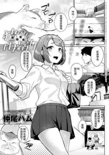 Neko nochi Amayadori